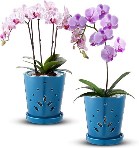 6.5" Ceramic Orchid Planters with Drainage Holes and Tray, 2 Pack