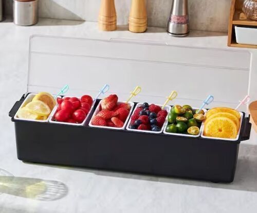 6 Compartment Ice Cooled Condiment Serving Container with Lid