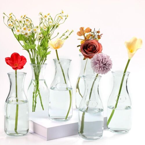 6 Pcs Milk Bottle Flower Vases
