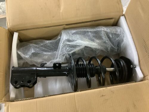 Strut and Coil Spring Assembly Pair, Unknown Fit