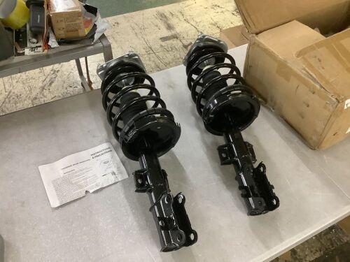 Complete Strut Assembly, Unknown Fit