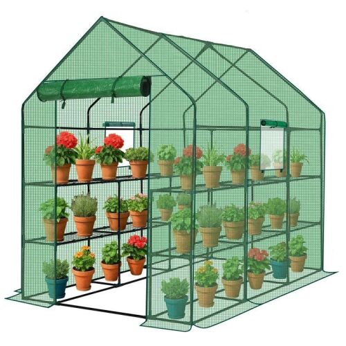 56" Walk-in Greenhouse with Shelves, PE Cover, Roll-Up Door, Green