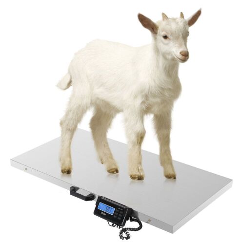 1100 LBS x 0.2 LBS Livestock Scale Electronic Platform Scale