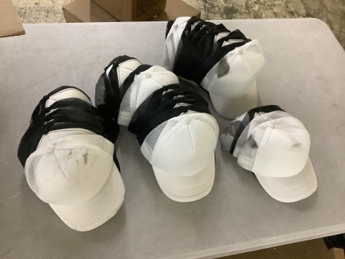 Lot of (27) Baseball Caps - Some Damaged
