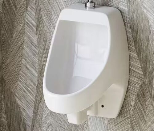 Hanikes 1.0 GPF Urinal with Siphon Jet Flush Action in White