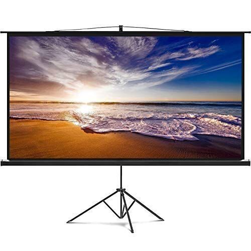 Delux Screens 84" Portable Projector Screen with Stand  - Lot 328