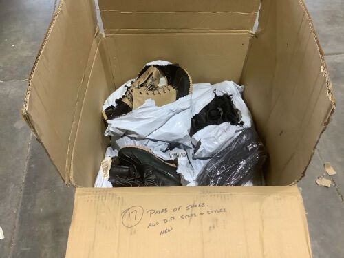 Lot of (17) Assorted Pairs of Shoes, Various Sizes/Styles - Lot 557