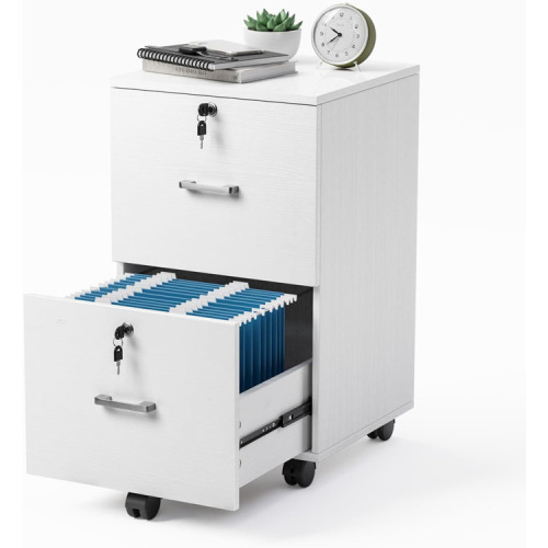 2 Drawer File Cabinet with Lock Rolling Mobile Stand