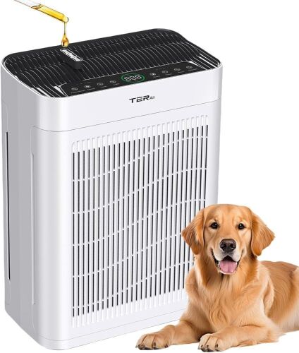 TERAir Air Purifier