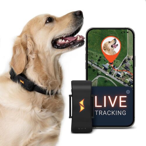 GPS Tracker for Dogs with 3 Month Subscription Included, 4G Real-Time Dog GPS Tracker with Virtual Fence, Activity & Health Monitor, Up to 10 Days Battery, Fits Any Pet Collar