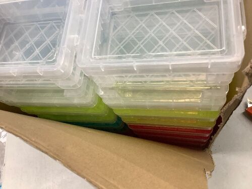Case of Small Plastic Storage Box with Lid
