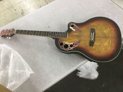 Electric Acoustic Guitar