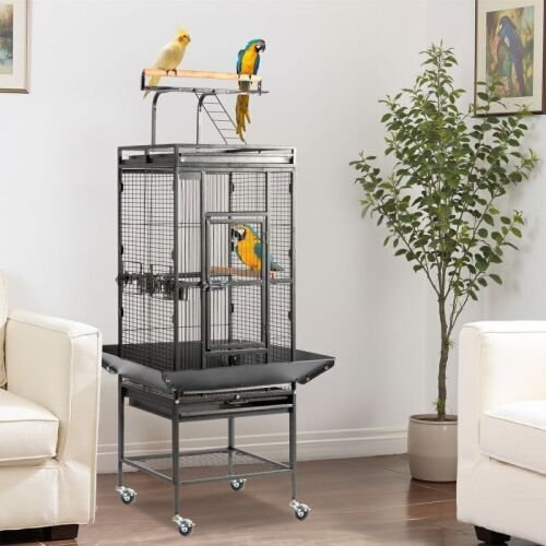 65" Wrought Iron Bird Cage