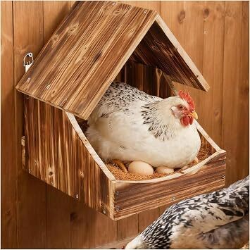 Wooden Chicken Nesting Box