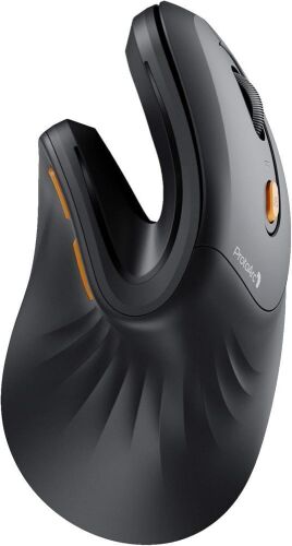 ProtoArc Ergonomic Mouse, EM11