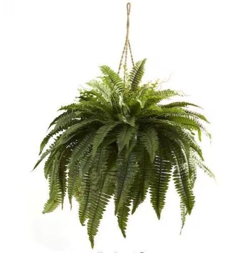 Nearly Natural Artificial Double Giant Boston Fern Hanging Basket