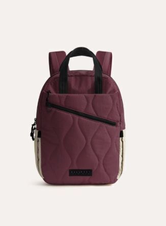 Bagsmart Paz 23L Backpack