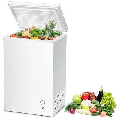 2.7-cu ft Garage Ready Chest Freezer