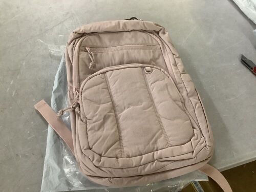 Bagsmart Backpack