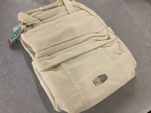 Bagsmart Backpack
