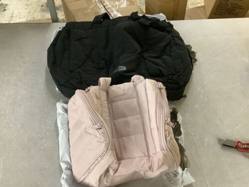 Lot of (2) Bagsmart Bags