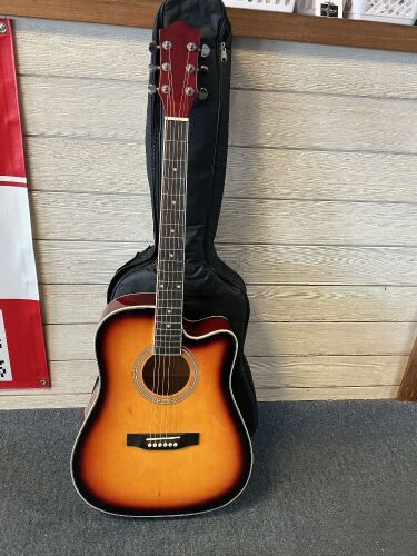 Guitar, Storage Bag, BCP, No Accessories Included