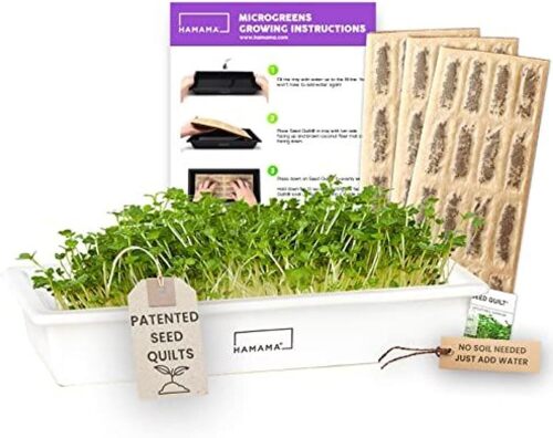 Microgreens Growing Kit Kale, Broccoli & Salad - Indoor Sprouts Mat - Seed Quilts Easy Setup Pack of 3 - Ceramic Tray