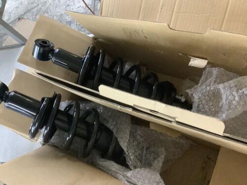 Pair of Struts, Unknown Fit