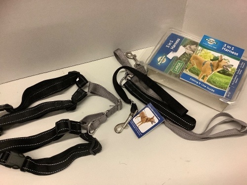 Dog Harness and Leash Set - Lot 184