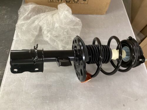 Suspension Strut and Coil Spring Assembly, 2pc, Unkown Fit
