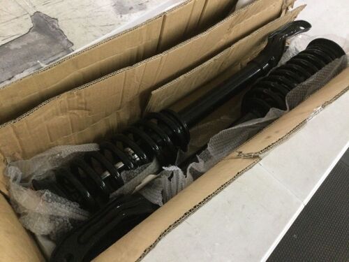 Strut and Coil Spring Assembly, Unknown Fit
