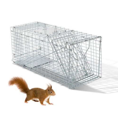 31'' x 11.4'' x 12.4'' Humane Live Animal Cage Trap