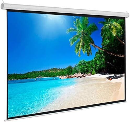 LEADZM Projector Screen, Matte White