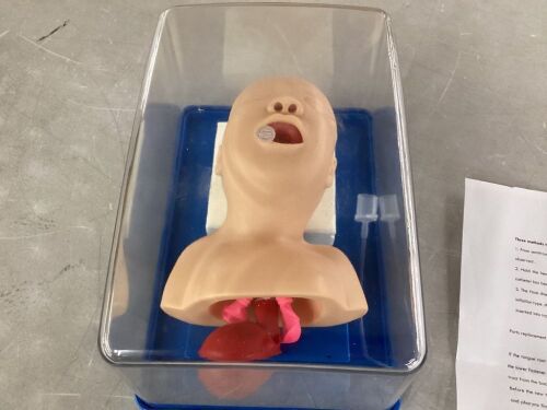 Lab Airway Management Training Infant Tracheal Mannequin