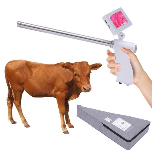 Portable Insemination Kit for Cattle Visual w/Screen Easy Monitoring