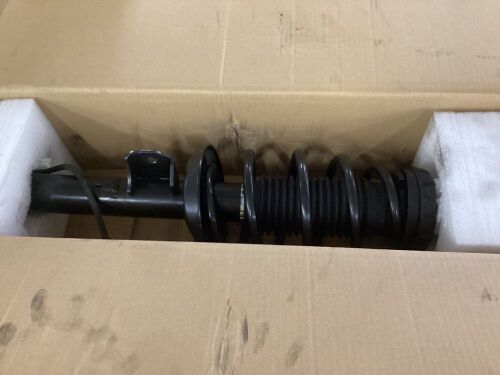 Suspsension Strut and Coil Spring, Unknown Fit