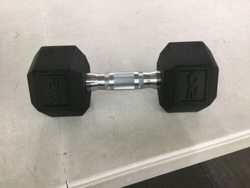 20lb Dumbbell