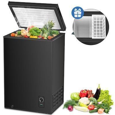 2.7-cu ft Garage Ready Chest Freezer