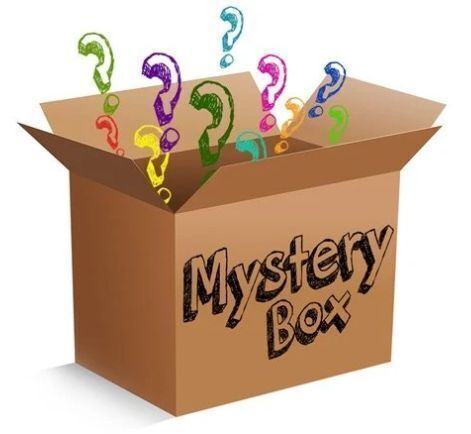 Unclaimed Mail Mystery Package Box