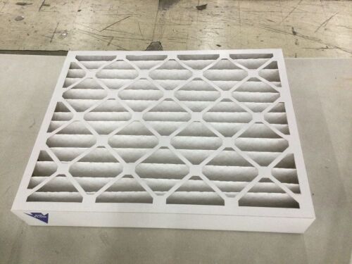 Nordic Pure 20 in. x 25 in. x 4 in. Allergen Pleated Furnace Air Filter MERV 12 (2-Pack)