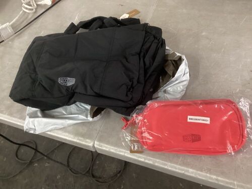 Lot of (2) Bagsmart Bags