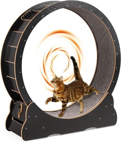 VINGLI 43.3-Inch Cat Exercise Wheel
