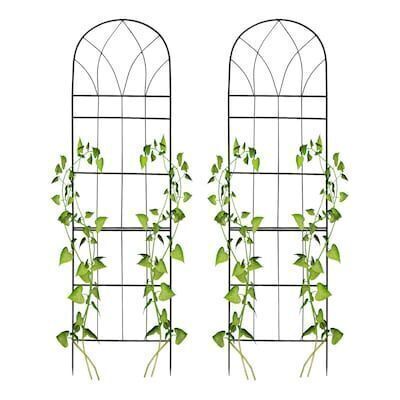 15.7-in W x 58-in H 2 Pack Steel Garden Trellis