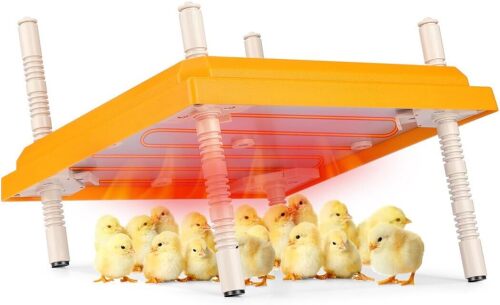 Brooder Heater for Chicks, 10" x 10" Thermostatically Controlled Brooder Heating Plate, Chick Brooder Heater with Adjustable Height and Angle