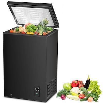 2.7-cu ft Garage Ready Chest Freezer