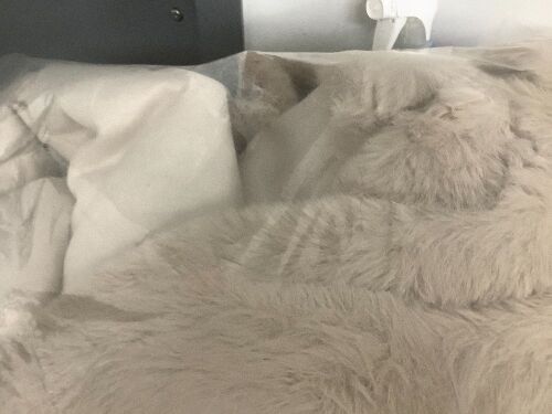 Faux Fur Throw Blanket