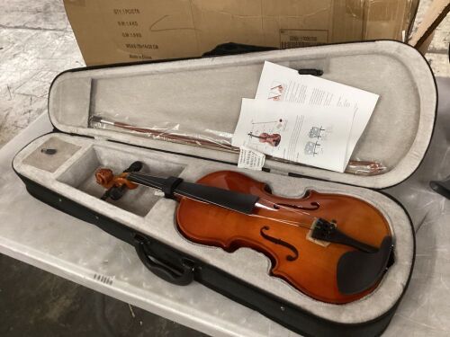 Violin with Case