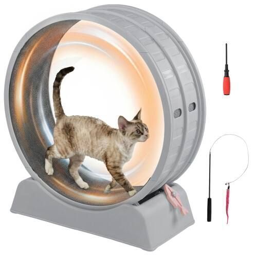 31-inch Cat Treadmill with Detachable Carpet