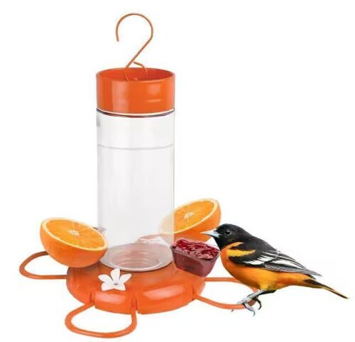 Nature's Way Orange Blossom Glass Oriole Feeder with Jelly Attachments 30 oz.