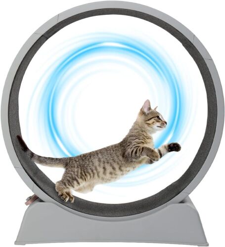 VINGLI Cat Exercise Wheel, 31"